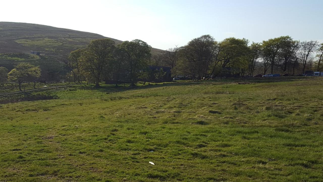 B&B Drum Farm Stirling Exterior foto
